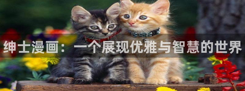 虫虫漫画免费漫画在线看漫画下载：绅士漫画：一个展现优雅与智慧的世界