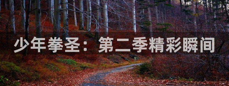 在线虫虫漫画：少年拳圣：第二季精彩瞬间
