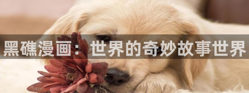 虫虫漫画免费漫画页面在线看漫画弹窗：黑礁漫画：世界的奇妙故事世界
