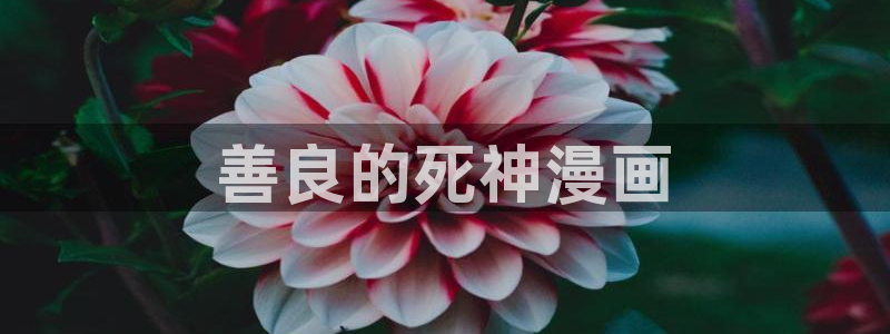 虫虫漫画登录页面免费漫画看漫画：善良的死神漫画