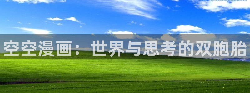 汗汗虫虫漫画正版免费观看：空空漫画：世界与思考的双胞胎