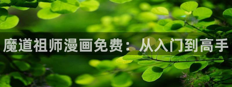 虫虫漫画下载软件：魔道祖师漫画免费：从入门到高手