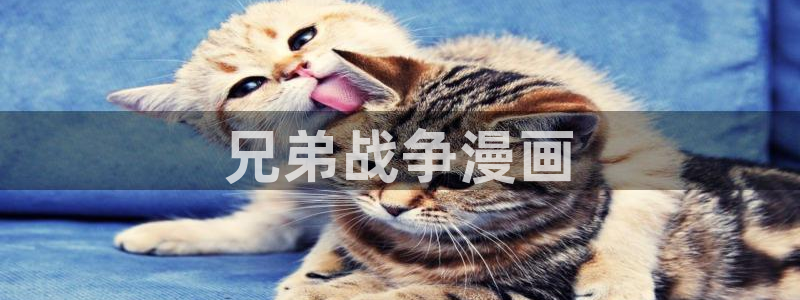 漫画虫虫漫画：兄弟战争漫画